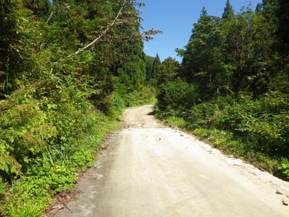 本名津川林道
