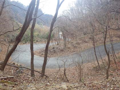 小中西山林道