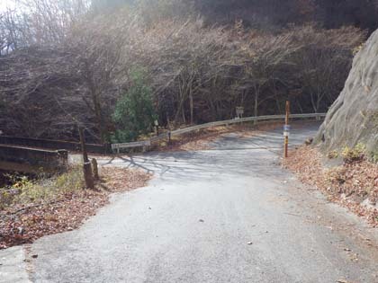 小中西山林道
