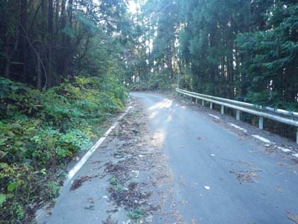 板庭入宝林道