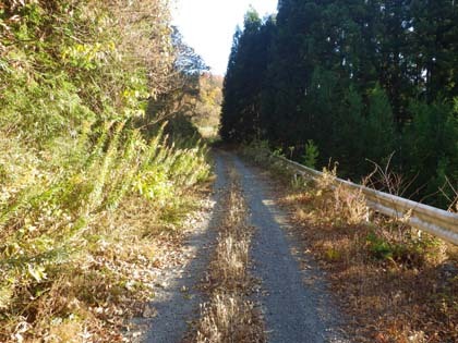 板庭入宝林道