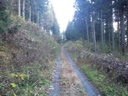 板庭入宝林道