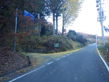 板庭入宝林道