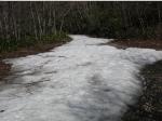 残雪のため通行困難