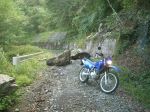 塩ノ沢峠→大仁田ダム