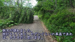 通行可能です
