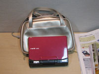 女性用のバッグとラズベリー